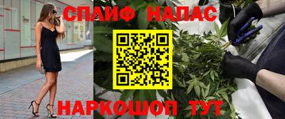 спайс Берёзовский