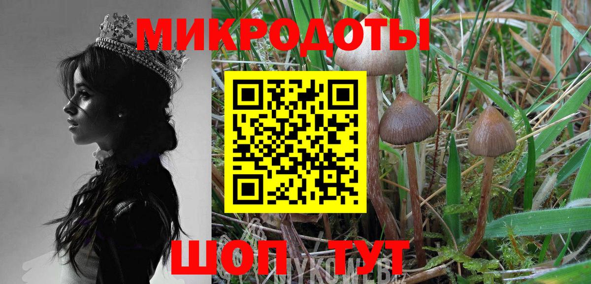 Касимов  Галлюциногенные грибы мухоморы  Псилоцибиновые грибы ЛСД  Вход с VPN 